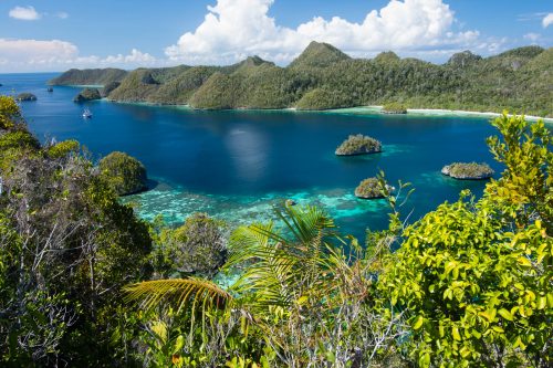 Top 5 Dive Sites in Raja Ampat Landscape
