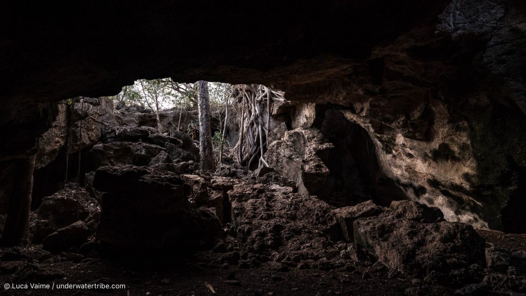 Bat Cave Rinca