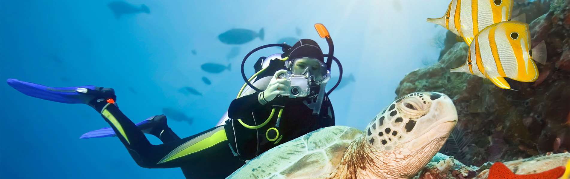 9 dives. 9 dives