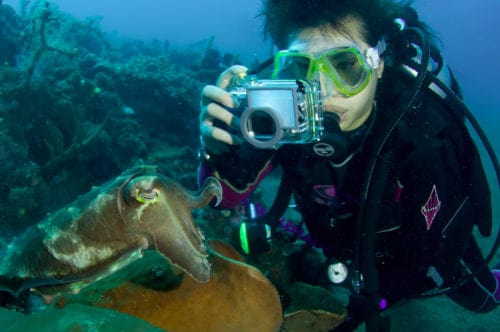 Underwater Photo Courses in Bali