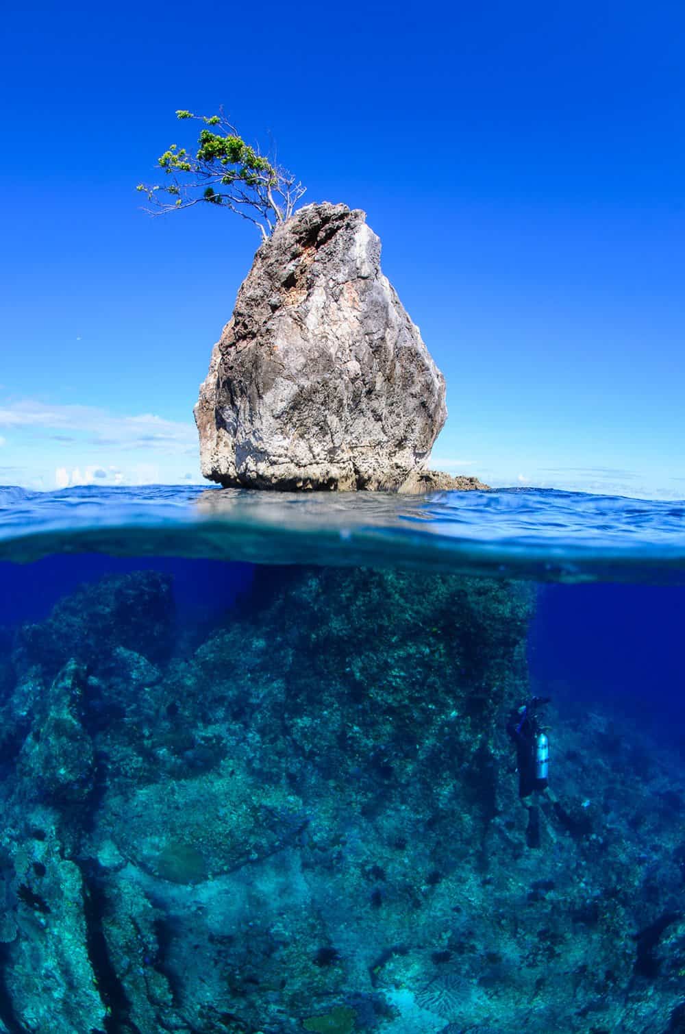 Underwater Photography Tutorials | for all underwater photographers
