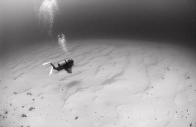 PADI dive master swimming over the sand