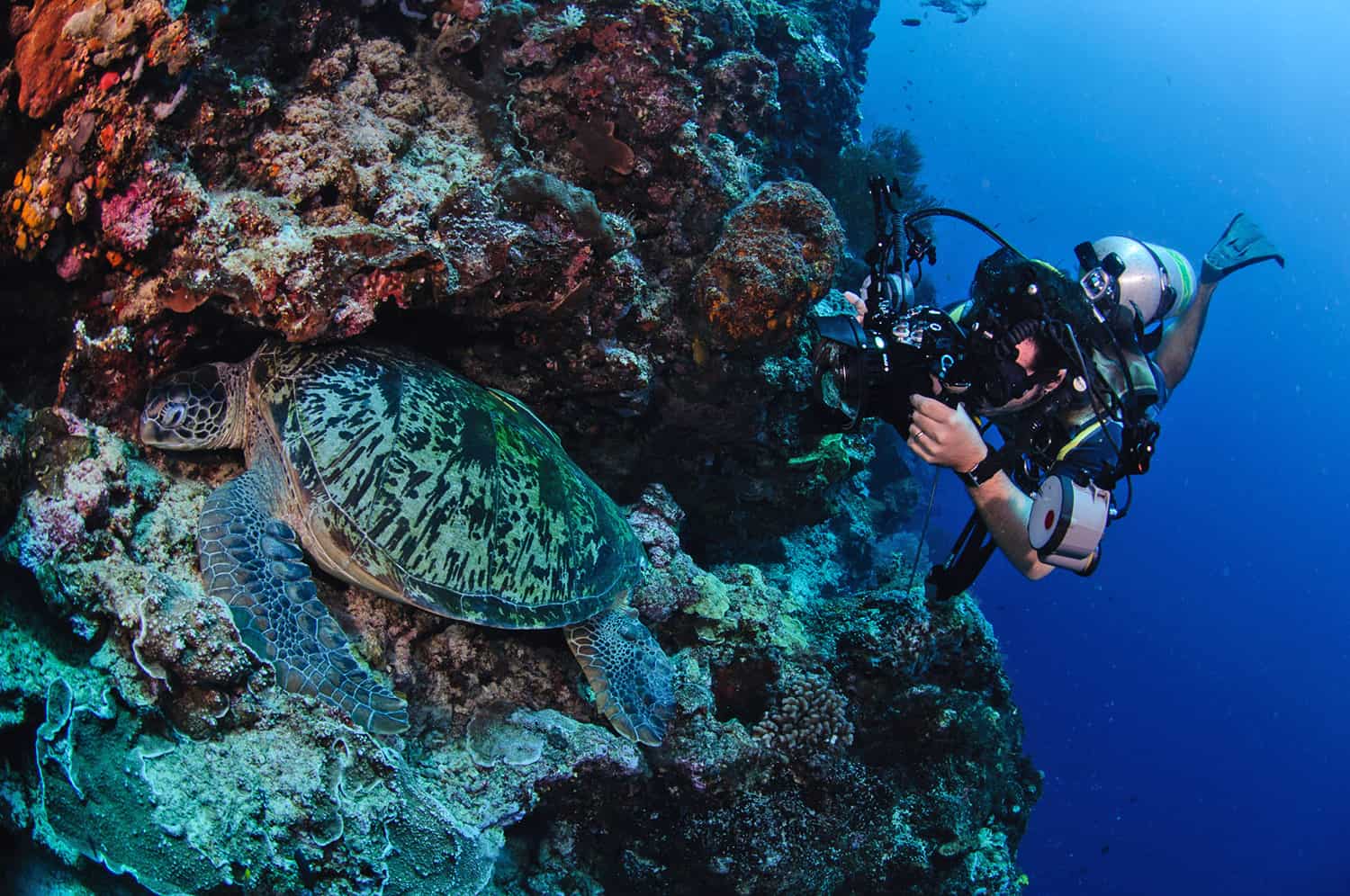 PADI Digital Underwater Photographer Underwater Tribe