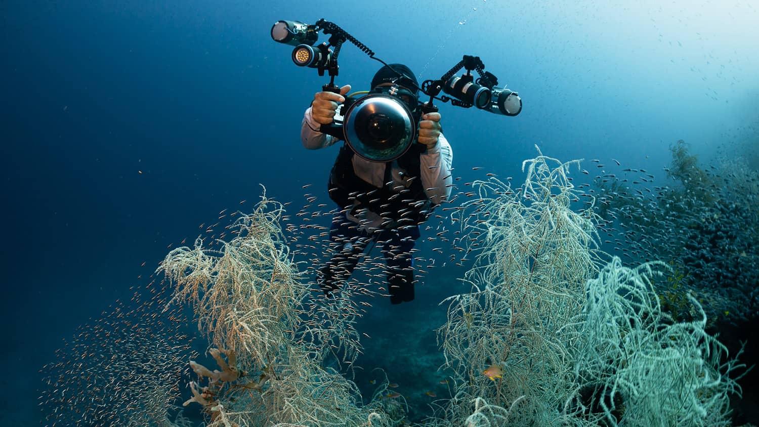 Introduction to Underwater Photography Underwater Tribe