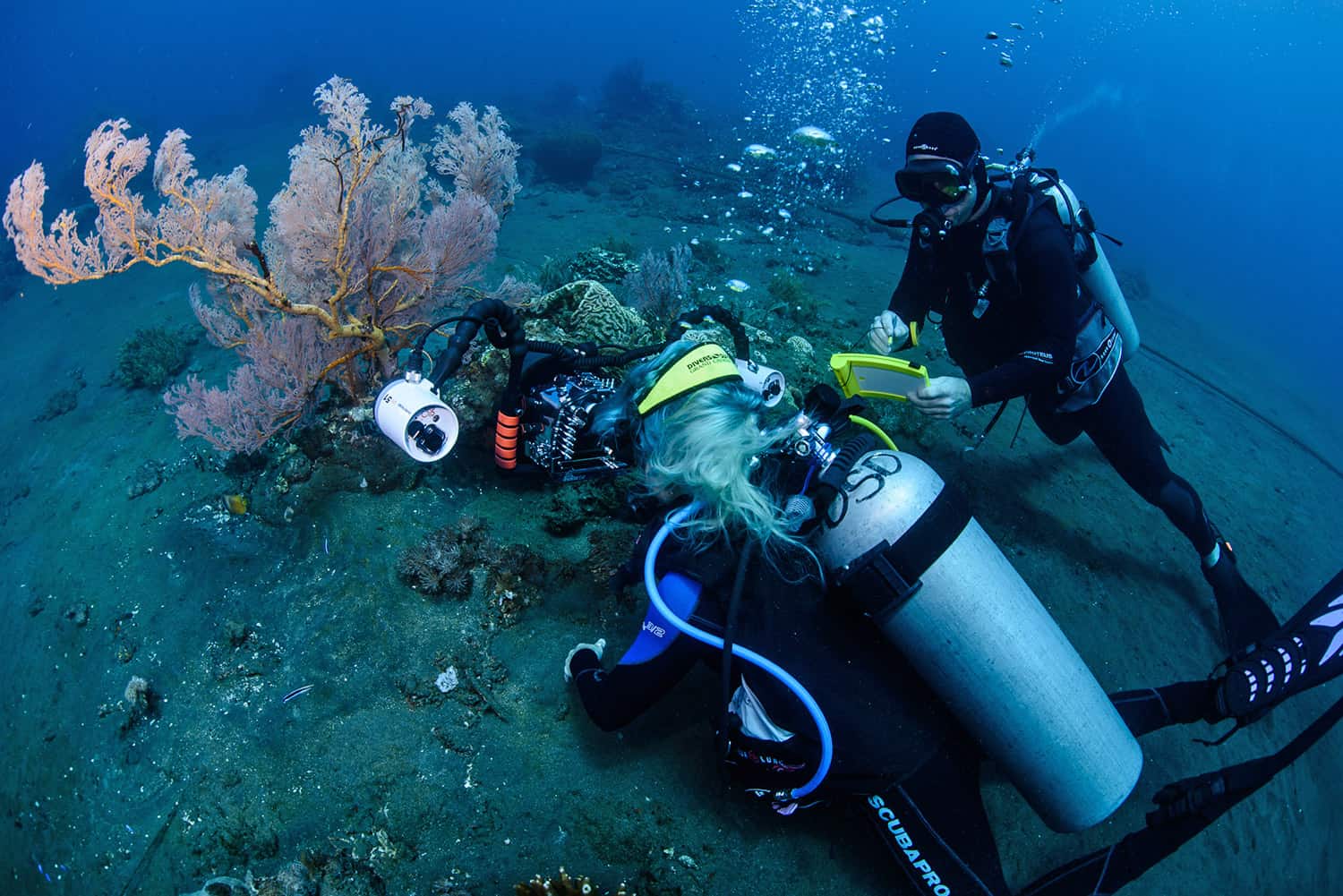 Advanced Underwater Photo Course Underwater Tribe