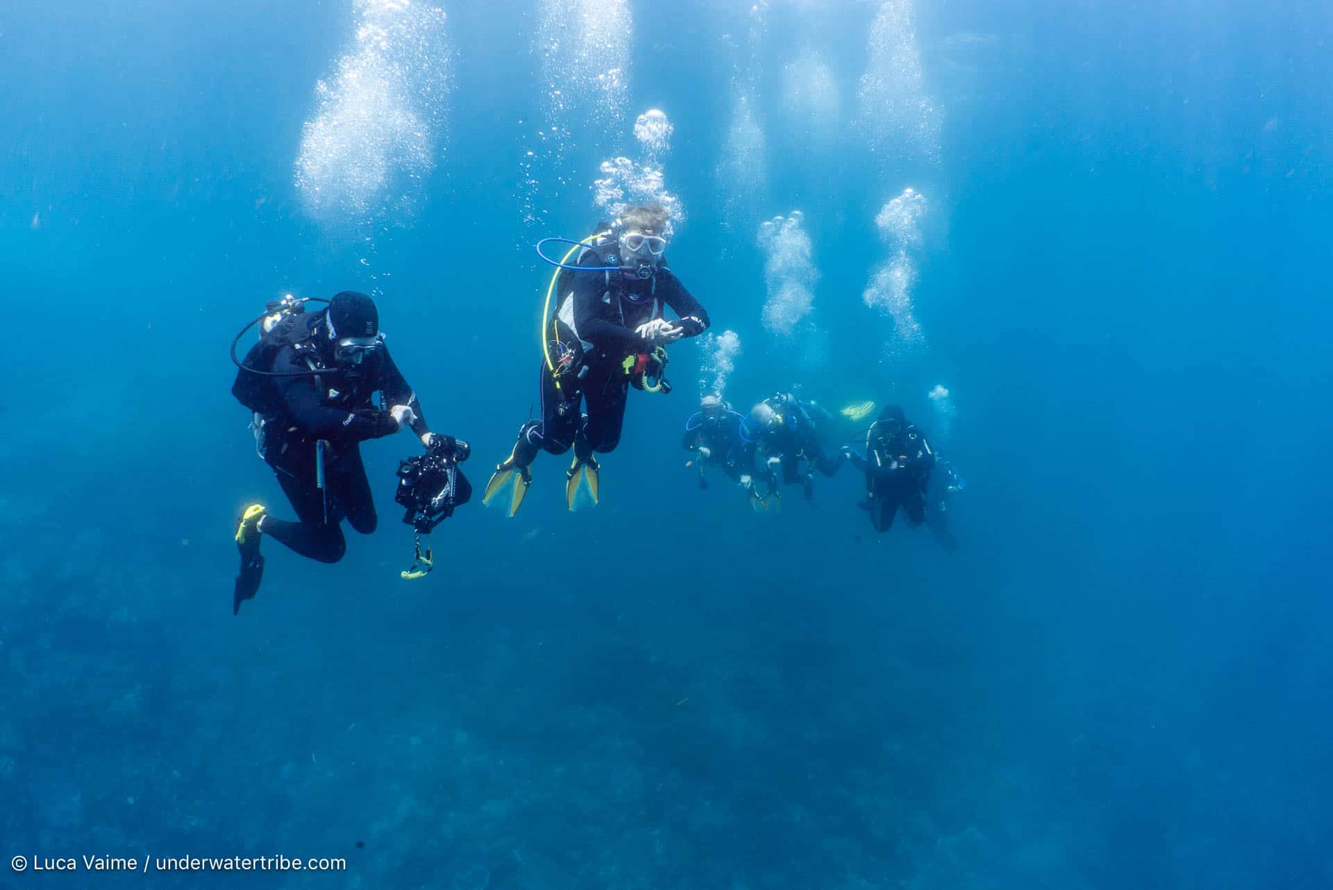 Bali Dive Safari Group Offer 2019 Underwater Tribe