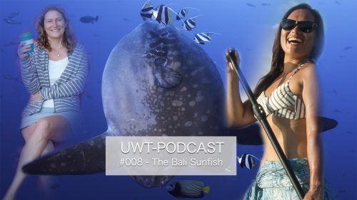 Bali Sunfish Podcast