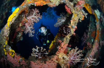 Diver in the Liberty Wreck Tulamben