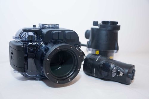 Two Strobes Camera Equipment