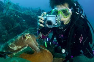 Underwater Photography Online