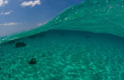 Daily Photo Split Shot