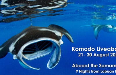 Komodo Liveaboard Trip 2023