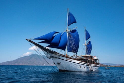 Samambaia Liveaboard