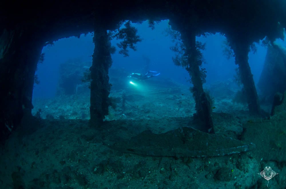 Five Must Shoot Underwater Photo Subjects in Bali