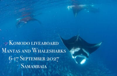 Komodo Liveaboard2027