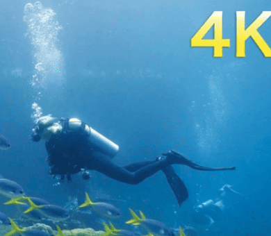 Raja Ampat 2026 Trip Video