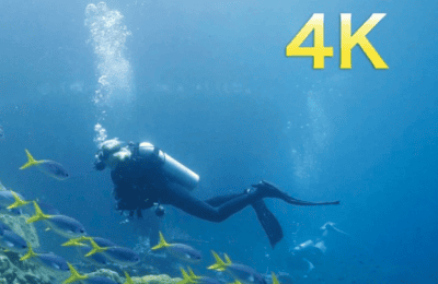 Raja Ampat 2026 Trip Video