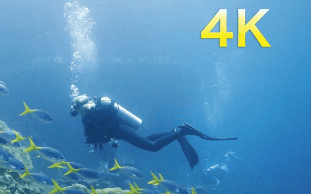 Raja Ampat 2026 Trip Video